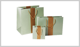 BOLSAS